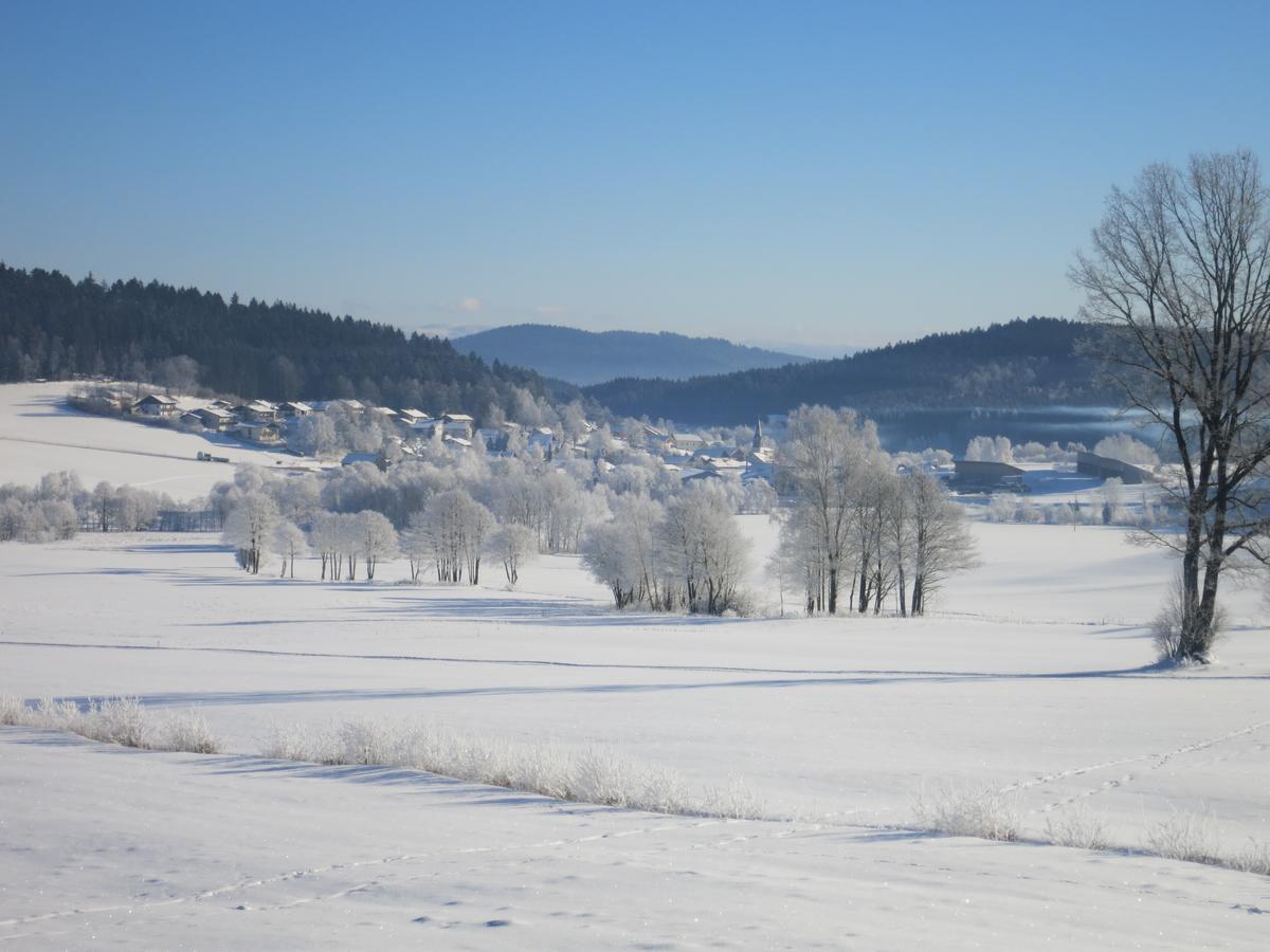 Hotel Hirschenstein Achslach エクステリア 写真