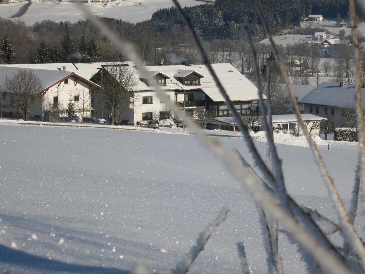 Hotel Hirschenstein Achslach エクステリア 写真