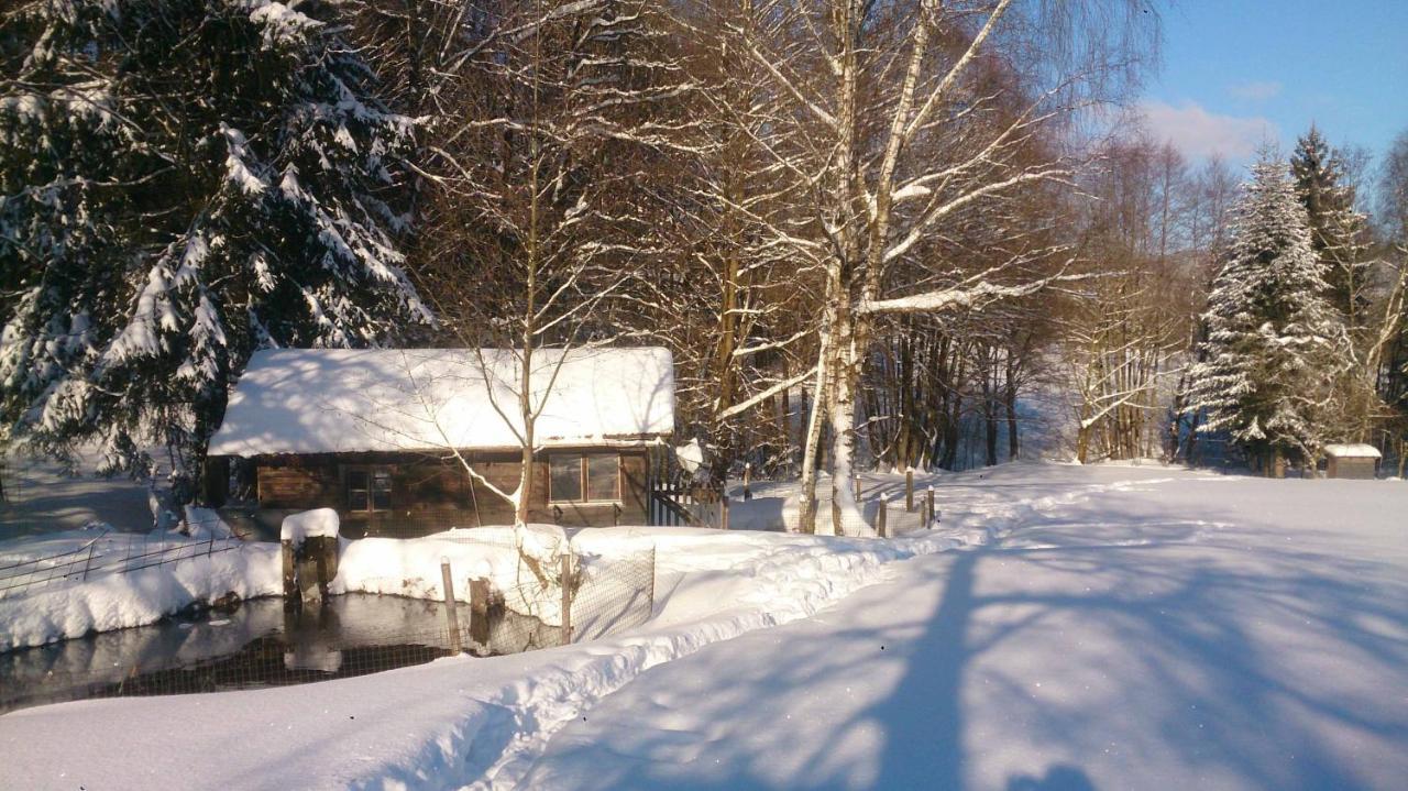 Hotel Hirschenstein Achslach エクステリア 写真