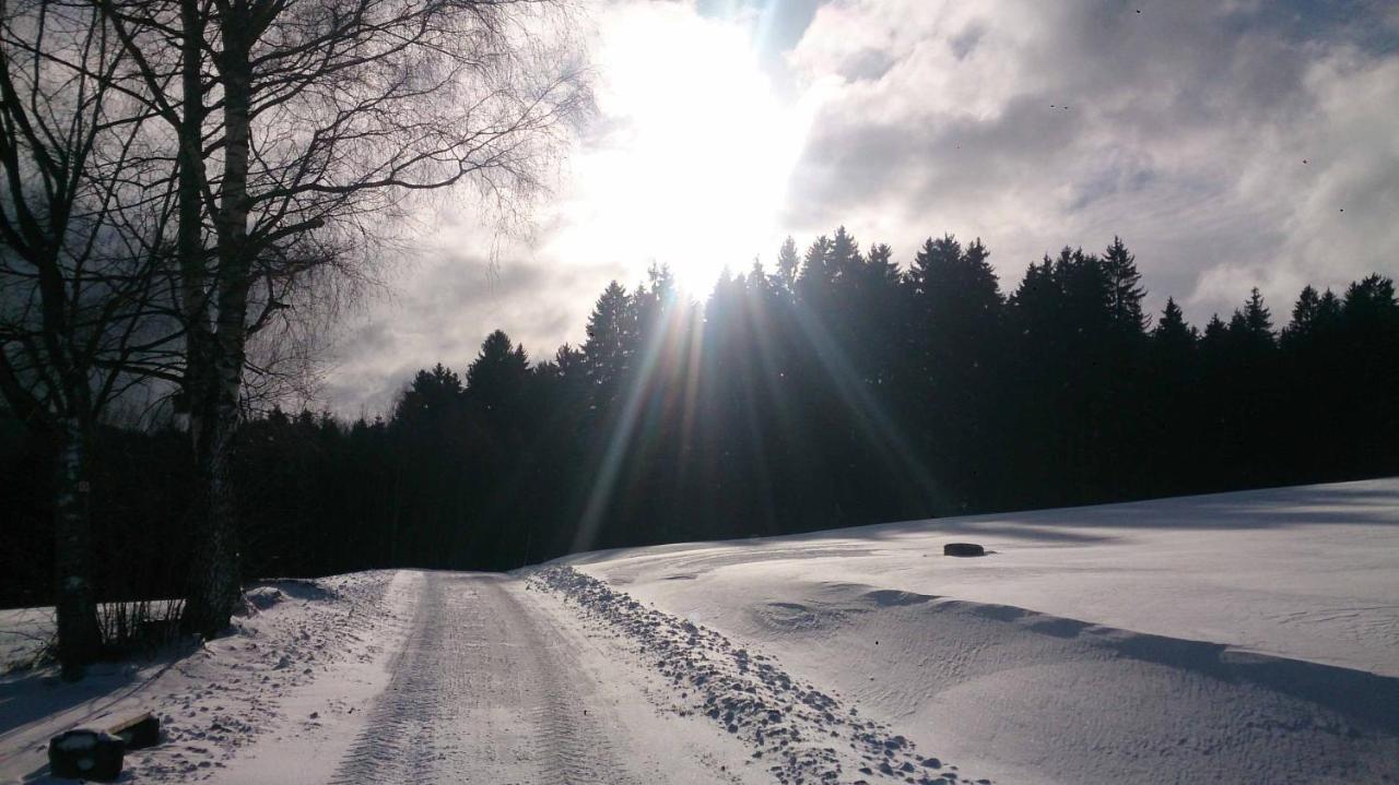 Hotel Hirschenstein Achslach エクステリア 写真